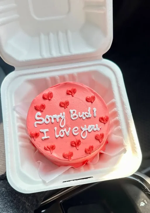 Sorry Cake | Send Cakes to Nepal